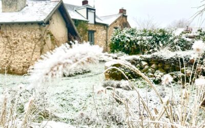 La neige s’invite au Clos des Noues